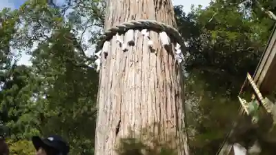 由岐神社(京都府)