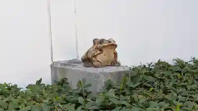 鶴満寺(大阪府)