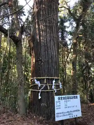 八幡神社のその他建物