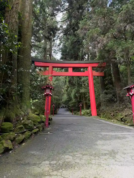 箱根神社(神奈川県)
