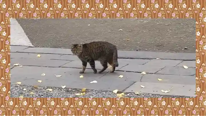小野照崎神社(東京都)