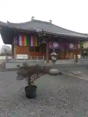 養性寺(埼玉県)