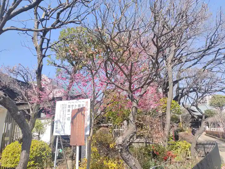 白山神社(東京都)