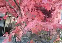 高幡不動尊 金剛寺の自然