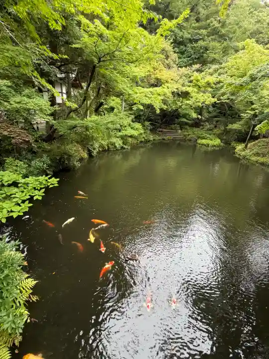 鶴岡八幡宮の庭園