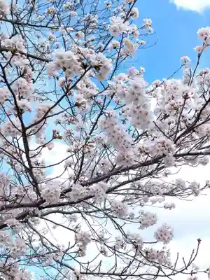 星田妙見宮(大阪府)