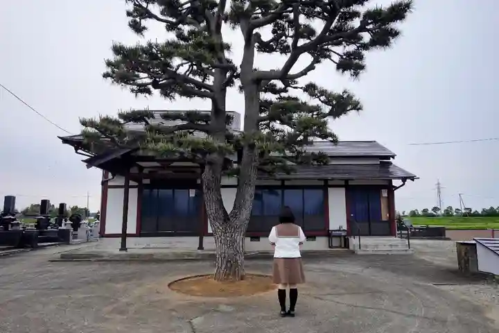 高照寺の本殿・本堂