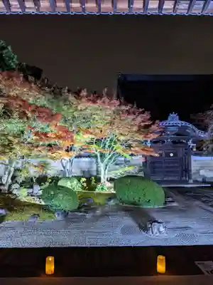 妙顯寺（妙顕寺）(京都府)