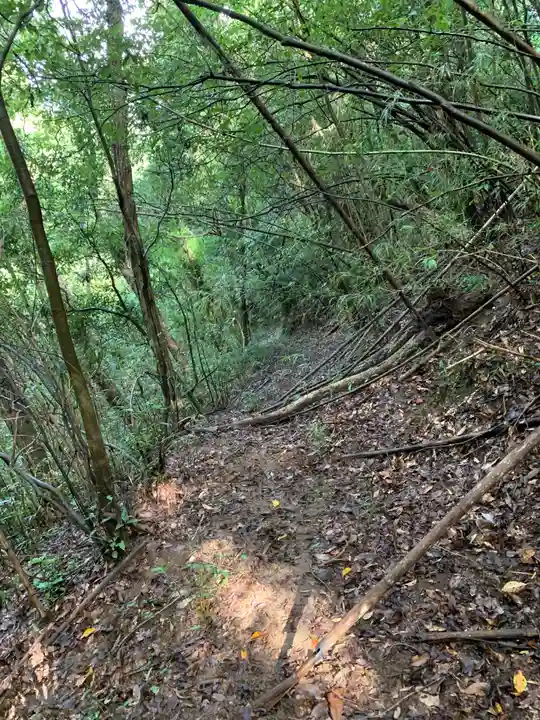 秋葉神社の周辺