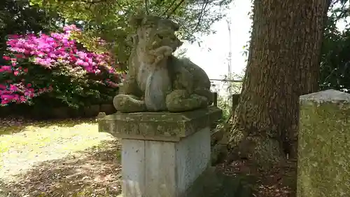 八日市普活廼神社の狛犬