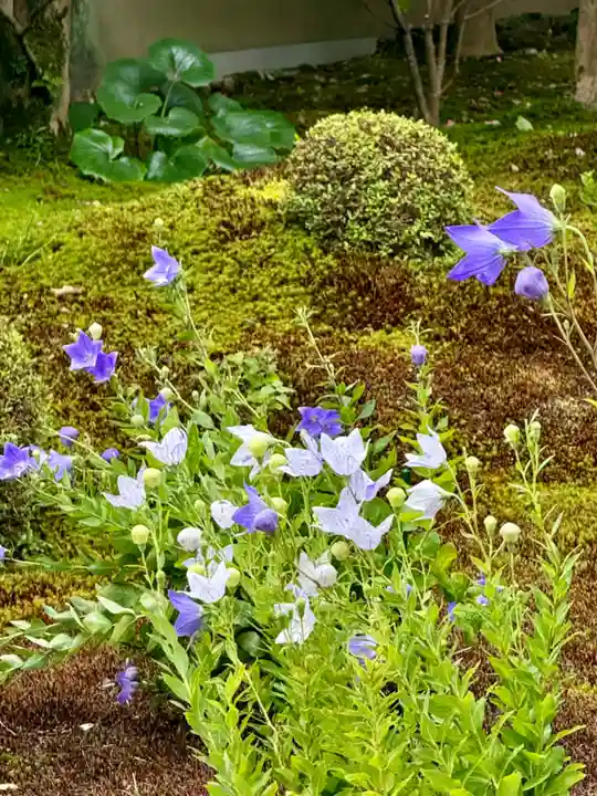 天得院(京都府)