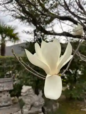 和田寺(兵庫県)