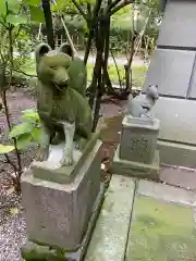 金澤神社の狛犬