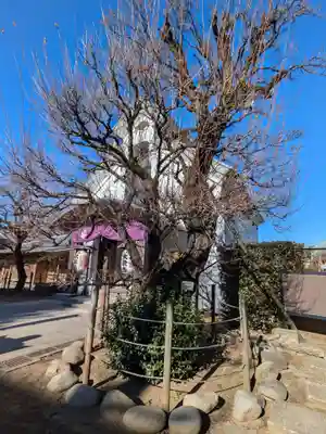 光源寺(東京都)