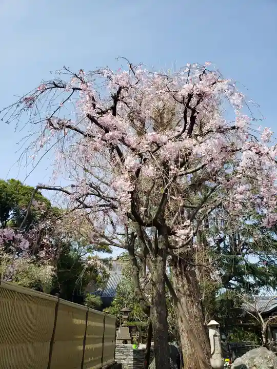 東光寺(東京都)