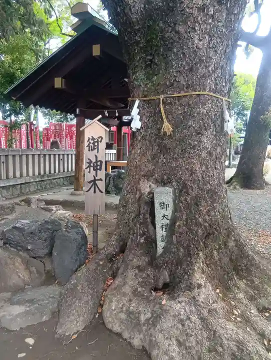 古知野神社(愛知県)