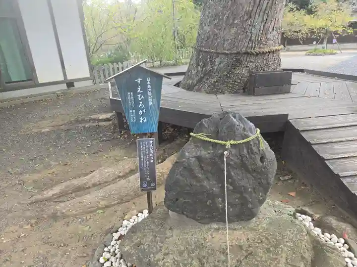 平野神社(京都府)