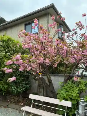 正法院の{uncategorized: "未分類", other: "その他", undefined: "問題あり", building: "その他建物", grave: "お墓", sacred_gate: "鳥居", guardian: "狛犬", statue: "像", buddha: "仏像", history: "歴史", nature: "自然", garden: "庭園", animal: "動物", pagoda: "塔", temizu: "手水舎", mountain_gate: "山門・神門", sanctuary: "本殿・本堂", subordinate: "末社・摂社", art: "芸術", scenery: "景色", jizo: "地蔵", ema: "絵馬", goshuin: "御朱印", omikuji: "おみくじ", items: "授与品その他", amulet: "お守り", goshuincho: "御朱印帳", eats: "食事", festival: "お祭り", votive_dance: "神楽", shichigosan: "七五三参", wedding: "結婚式", experience: "体験その他", initially: "初詣", around: "周辺", anti_infection: "感染症対策"}