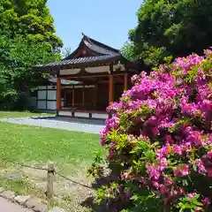 阿佐ヶ谷神明宮の建物その他