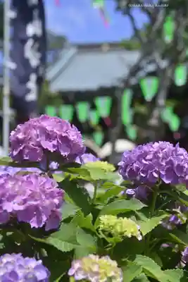 白山神社(東京都)