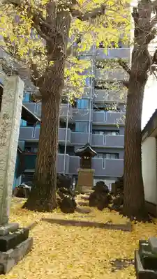 慈恵稲荷神社(埼玉県)