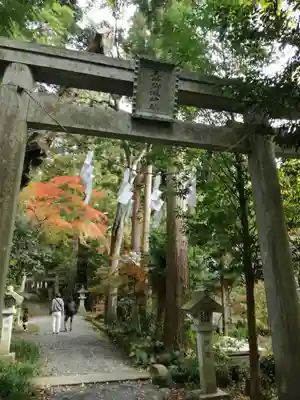 五所駒瀧神社の鳥居