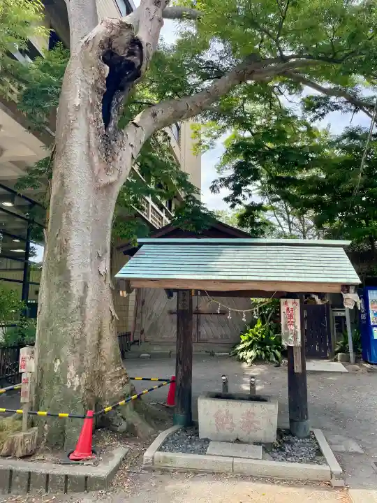 亀岡八幡宮(亀岡八幡神社)(神奈川県)
