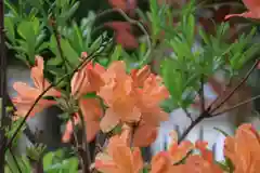 大鏑神社の庭園