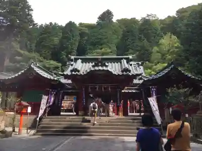 箱根神社の本殿・本堂