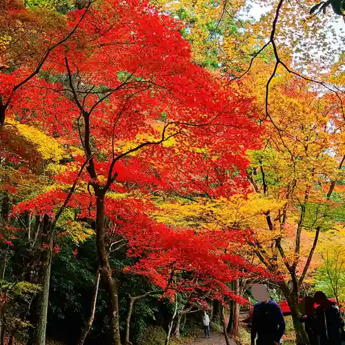 小國神社の自然