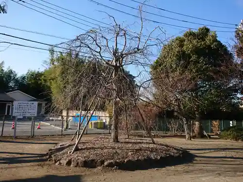 八幡神社(神奈川県)