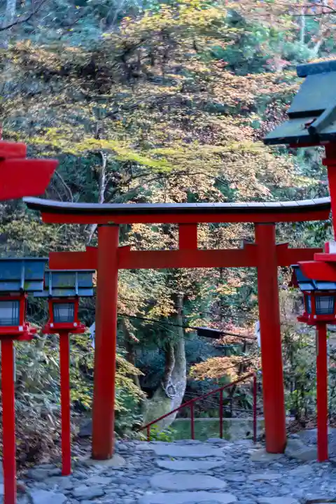貴船神社結社(京都府)