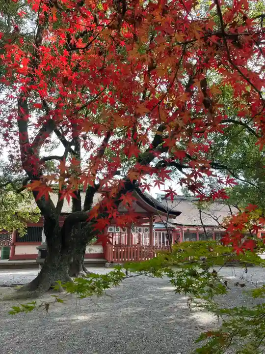 津島神社の{uncategorized: "未分類", other: "その他", undefined: "問題あり", building: "その他建物", grave: "お墓", sacred_gate: "鳥居", guardian: "狛犬", statue: "像", buddha: "仏像", history: "歴史", nature: "自然", garden: "庭園", animal: "動物", pagoda: "塔", temizu: "手水舎", mountain_gate: "山門・神門", sanctuary: "本殿・本堂", subordinate: "末社・摂社", art: "芸術", scenery: "景色", jizo: "地蔵", ema: "絵馬", goshuin: "御朱印", omikuji: "おみくじ", items: "授与品その他", amulet: "お守り", goshuincho: "御朱印帳", eats: "食事", festival: "お祭り", votive_dance: "神楽", shichigosan: "七五三参", wedding: "結婚式", experience: "体験その他", initially: "初詣", around: "周辺", anti_infection: "感染症対策"}