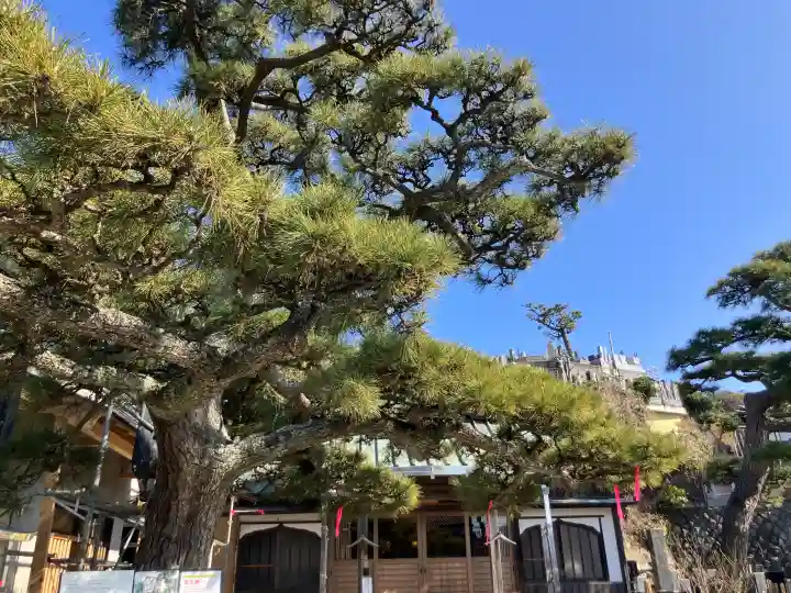 本成寺の{uncategorized: "未分類", other: "その他", undefined: "問題あり", building: "その他建物", grave: "お墓", sacred_gate: "鳥居", guardian: "狛犬", statue: "像", buddha: "仏像", history: "歴史", nature: "自然", garden: "庭園", animal: "動物", pagoda: "塔", temizu: "手水舎", mountain_gate: "山門・神門", sanctuary: "本殿・本堂", subordinate: "末社・摂社", art: "芸術", scenery: "景色", jizo: "地蔵", ema: "絵馬", goshuin: "御朱印", omikuji: "おみくじ", items: "授与品その他", amulet: "お守り", goshuincho: "御朱印帳", eats: "食事", festival: "お祭り", votive_dance: "神楽", shichigosan: "七五三参", wedding: "結婚式", experience: "体験その他", initially: "初詣", around: "周辺", anti_infection: "感染症対策"}