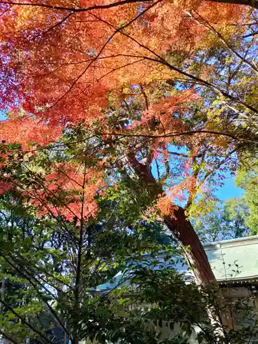 諏訪八幡神社の景色