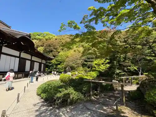 知恩院の{uncategorized: "未分類", other: "その他", undefined: "問題あり", building: "その他建物", grave: "お墓", sacred_gate: "鳥居", guardian: "狛犬", statue: "像", buddha: "仏像", history: "歴史", nature: "自然", garden: "庭園", animal: "動物", pagoda: "塔", temizu: "手水舎", mountain_gate: "山門・神門", sanctuary: "本殿・本堂", subordinate: "末社・摂社", art: "芸術", scenery: "景色", jizo: "地蔵", ema: "絵馬", goshuin: "御朱印", omikuji: "おみくじ", items: "授与品その他", amulet: "お守り", goshuincho: "御朱印帳", eats: "食事", festival: "お祭り", votive_dance: "神楽", shichigosan: "七五三参", wedding: "結婚式", experience: "体験その他", initially: "初詣", around: "周辺", anti_infection: "感染症対策"}