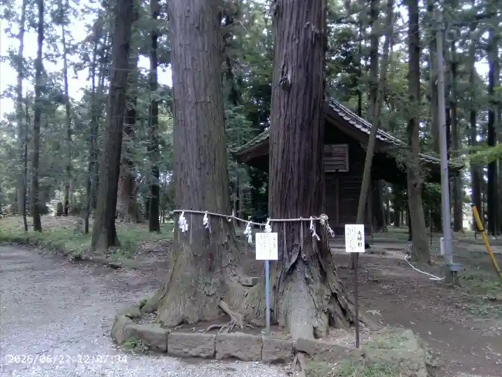 間々田八幡宮(栃木県)