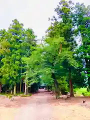 桜町二宮神社(栃木県)