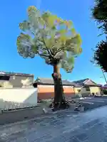 光明寺(三重県)