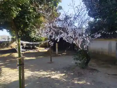 蹉跎神社(大阪府)