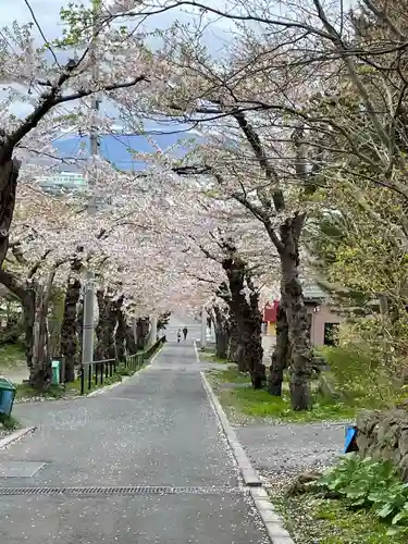 住三吉神社の自然