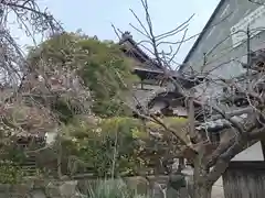 大念佛寺(大阪府)