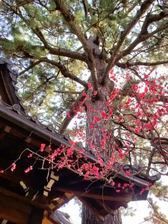 玄国寺(東京都)