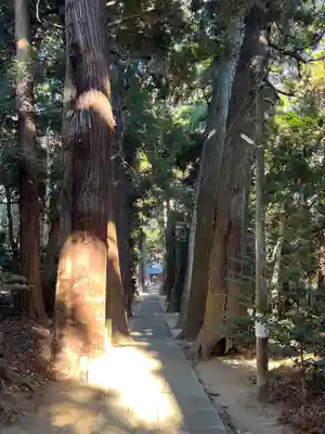 日吉神社(千葉県)