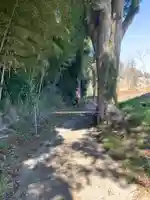 松島神社(千葉県)