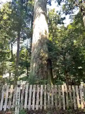 天鷹神社(岐阜県)