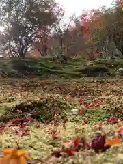 天龍寺(京都府)