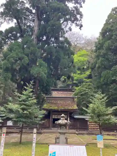 若狭姫神社（若狭彦神社下社）の{uncategorized: "未分類", other: "その他", undefined: "問題あり", building: "その他建物", grave: "お墓", sacred_gate: "鳥居", guardian: "狛犬", statue: "像", buddha: "仏像", history: "歴史", nature: "自然", garden: "庭園", animal: "動物", pagoda: "塔", temizu: "手水舎", mountain_gate: "山門・神門", sanctuary: "本殿・本堂", subordinate: "末社・摂社", art: "芸術", scenery: "景色", jizo: "地蔵", ema: "絵馬", goshuin: "御朱印", omikuji: "おみくじ", items: "授与品その他", amulet: "お守り", goshuincho: "御朱印帳", eats: "食事", festival: "お祭り", votive_dance: "神楽", shichigosan: "七五三参", wedding: "結婚式", experience: "体験その他", initially: "初詣", around: "周辺", anti_infection: "感染症対策"}