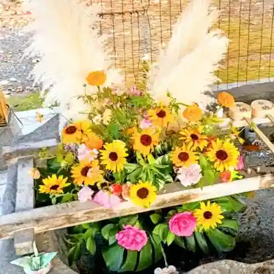 彌彦神社　(伊夜日子神社)の手水舎