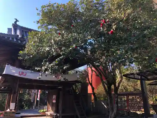 安養寺の山門・神門